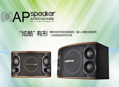 派對(duì)屋AP系列卡拉OK音箱_聊城音響_聊城雷石點(diǎn)歌系統(tǒng)_聊城寶迪奧音響_聊城市匯聲音響設(shè)備